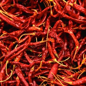 Dry Red Chilli